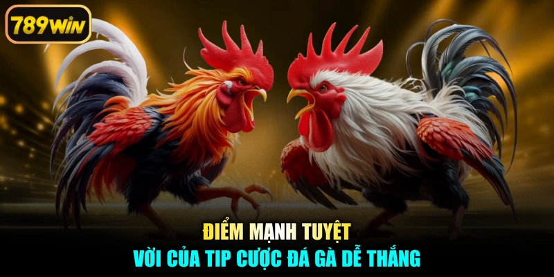 Điểm mạnh tuyệt vời của tip cược đá gà dễ thắng